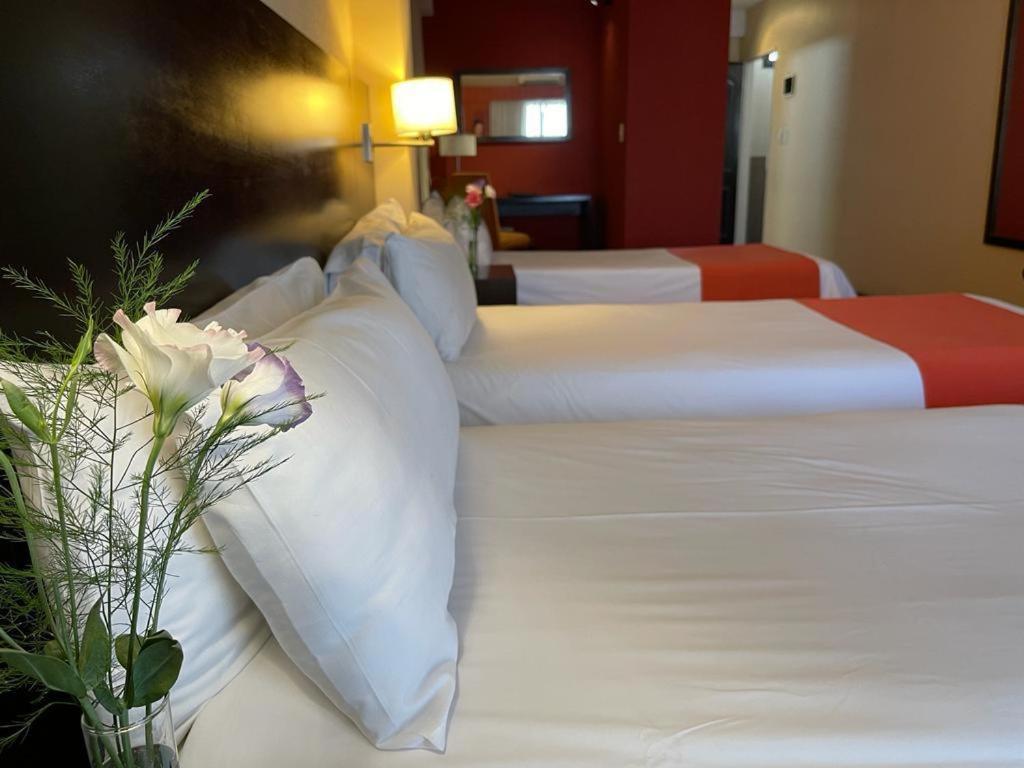 Duomi Hotel בואנוס איירס מראה חיצוני תמונה